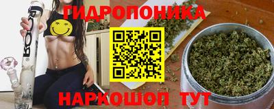 прущие крисы Новодвинск
