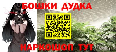 прущие крисы Новодвинск