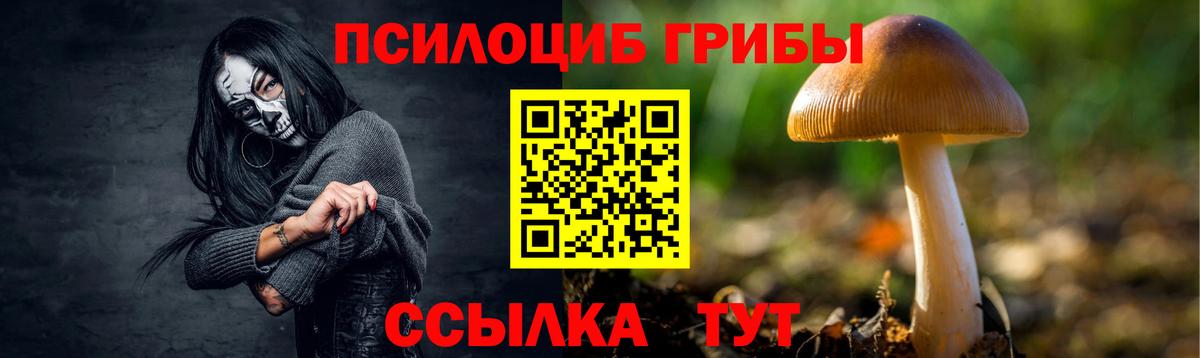 Галлюциногенные грибы Psilocybe  Псилоцибиновые грибы мухоморы  Сунжа  Вход с VPN 